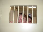 Charlie & Scarffy's Bed for the Night